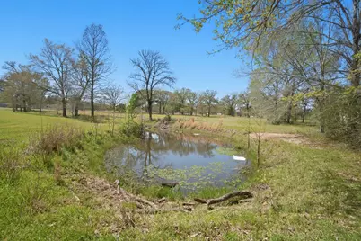 15 Brumley Drive, Huntsville, TX 77320 - Photo 10