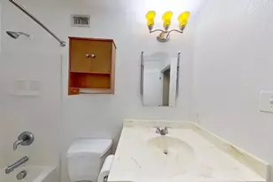 234 Trestle Tree, San Marcos, TX 78666 - Photo 8