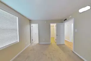 234 Trestle Tree, San Marcos, TX 78666 - Photo 10