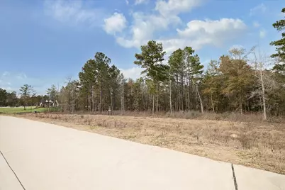 7511 Bingham Drive, Montgomery, TX 77316 - Photo 2