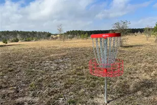 15794 Wood Grv Wy, Willis, TX 77378 - Photo 6