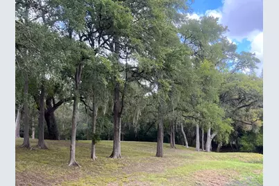 1135 Buescher Road, Columbus, TX 78934 - Photo 30