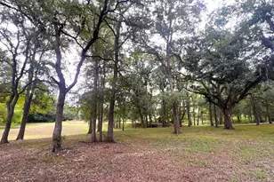 1135 Buescher Rd, Columbus, TX 78934 - Photo 34