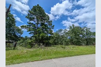 6041 County Road 302, Navasota, TX 77868 - Photo 2