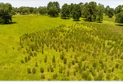 Tbd Live Oak Court, Crockett, TX 75835 - Photo 8