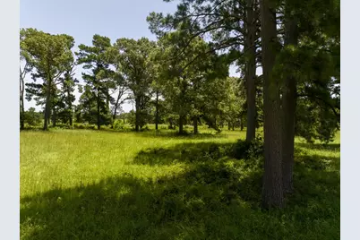 Tbd Live Oak Court, Crockett, TX 75835 - Photo 18