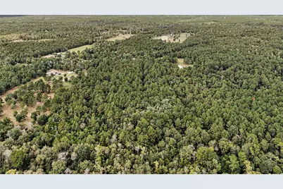 21490 Big Buck Drive, Cleveland, TX 77328 - Photo 12