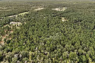 21490 Big Buck Dr, Cleveland, TX 77328 - Photo 12