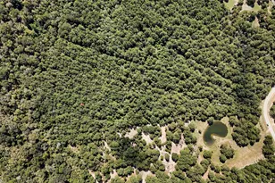 21490 Big Buck Dr, Cleveland, TX 77328 - Photo 8