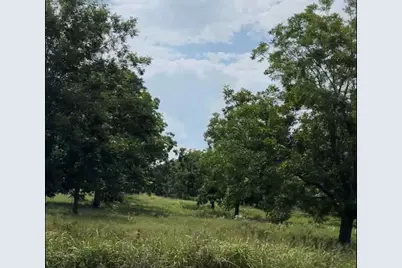 Tract #2 Fm 2548, Midway, TX 75852 - Photo 6