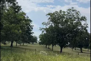 Tract #2 Fm 2548, Midway, TX 75852 - Photo 1