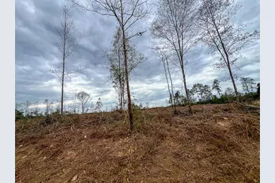 T-4 Cr 4590, Spurger, TX 77660 - Photo 8