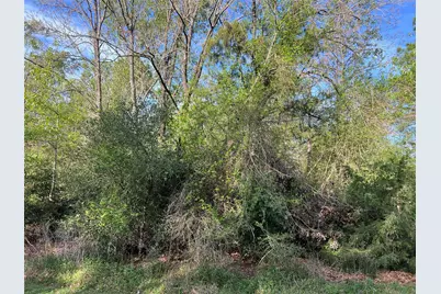 Tbd Idlewild Drive, Onalaska, TX 77360 - Photo 6