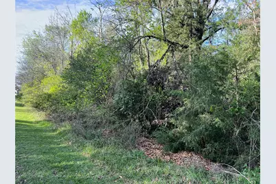 Tbd Idlewild Drive, Onalaska, TX 77360 - Photo 2