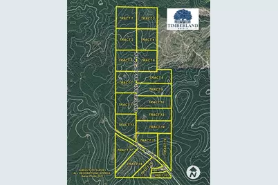 Tbd 11B Timberland Branch Drive, Woodville, TX 75979 - Photo 10