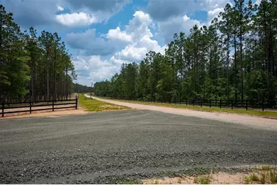 Tbd 11B Timberland Branch Drive, Woodville, TX 75979 - Photo 6