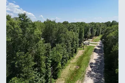 Lot 265-267 Knottypine, Livingston, TX 77351 - Photo 22