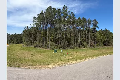 15648 Cricket Creek Court, Willis, TX 77378 - Photo 2