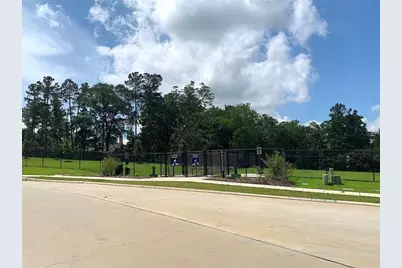 11544 Kalinago View Lane, Conroe, TX 77304 - Photo 18