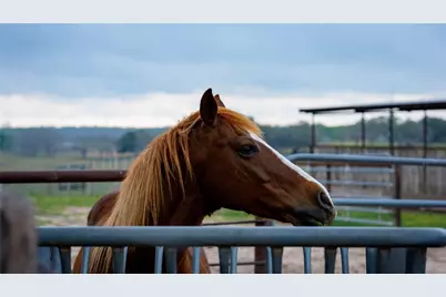 0000 Wolters Road, Schulenburg, TX 78956 - Photo 26