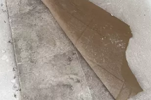 3300 Yorktown St, Houston, TX 77056 - Photo 6