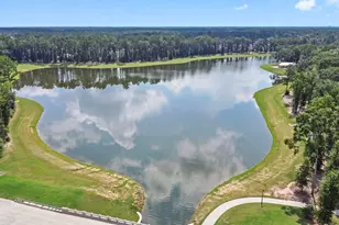 7384 Mount Greylock Loop, Porter, TX 77365 - Photo 28
