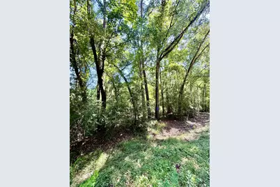 Tbd Lot 6 Rolling Hills Drive, Porter, TX 77365 - Photo 2