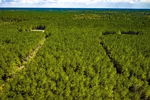 0 Duff Rd, Livingston, TX 77351 - Photo 1