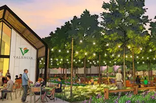 6130 Clementine Zest Dr, Manvel, TX 77578 - Photo 10