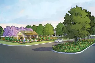 6130 Clementine Zest Dr, Manvel, TX 77578 - Photo 6