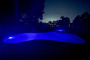 1723 Opal Trail, Willis, TX 77378 - Photo 14