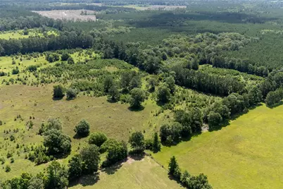 0 Rl Moffett St, Goodrich, TX 77335 - Photo 14