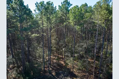 Tbd O'Quinn Road, Pollok, TX 75969 - Photo 12