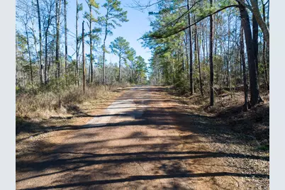 Tbd O'Quinn Road, Pollok, TX 75969 - Photo 20