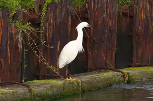 1493 County Rd 291, Sargent, TX 77414 - Photo 28