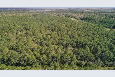 Tbd 2 Highway 61, Hankamer, TX 77562 - Photo 2