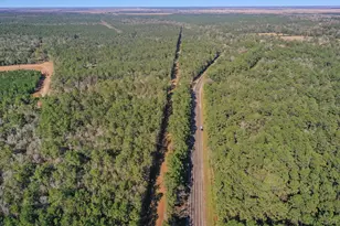 Tbd 2 Hwy 61, Hankamer, TX 77562 - Photo 1