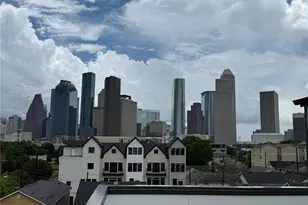 1103 Wilson St, Houston, TX 77019 - Photo 10