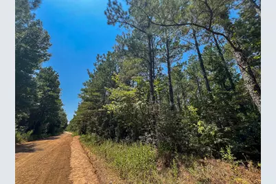 5 County Road 3230, Colmesneil, TX 75938 - Photo 8