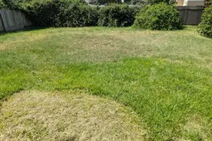 426 Dockside Terrace Ln, Katy, TX 77494 - Photo 34