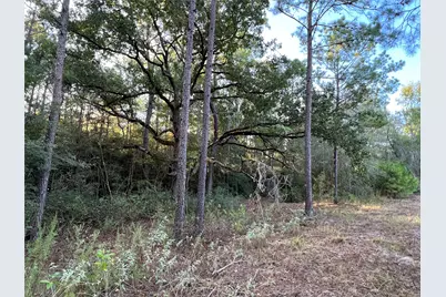 4604 Highway 105 E, Navasota, TX 77868 - Photo 32