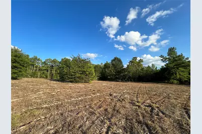 4604 Highway 105 E, Navasota, TX 77868 - Photo 30