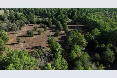 4604 Highway 105 E, Navasota, TX 77868 - Photo 12