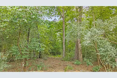 15389 Woodlife Road, Willis, TX 77378 - Photo 10