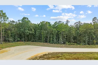 15389 Woodlife Road, Willis, TX 77378 - Photo 6