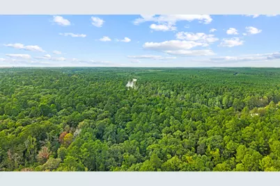 15389 Woodlife Road, Willis, TX 77378 - Photo 8