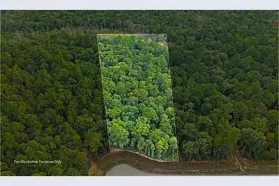 15389 Woodlife Road, Willis, TX 77378 - Photo 1