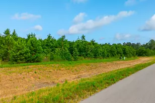 16151 Forest Mill Rd Rd, Willis, TX 77378 - Photo 1