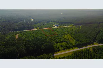 16151 Forest Mill Rd Road, Willis, TX 77378 - Photo 8