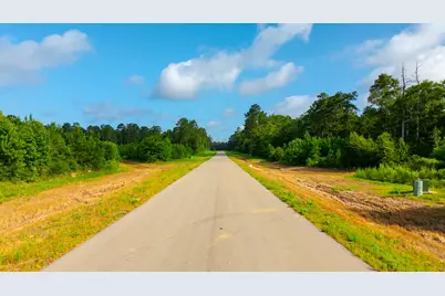 16151 Forest Mill Rd Road, Willis, TX 77378 - Photo 14